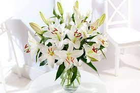 Simply Lilies Flowers By Post Flowers By Post White Lily Flower Lily Flower