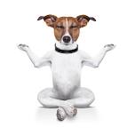 Stretch and Strengthen