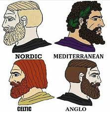 This types of facial hairs styles are unique, which most of us do not know. Celtic And Anglo Old Designs Nordic Mediterranean Know Your Meme