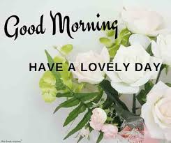 As the morning brightens up, wake up darling! 150 Beautiful Good Morning Images Best Collection