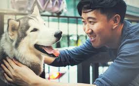 Smart cities: Enriching and empowering urban lives with digital innovation