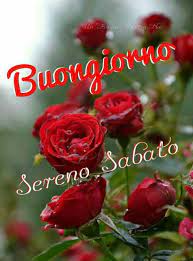 Buon Sabato Con I Fiori Da Condividere Su Whatsapp 6 Sabato Buon Sabato Buongiorno Sabato