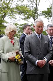 Pin On Royals
