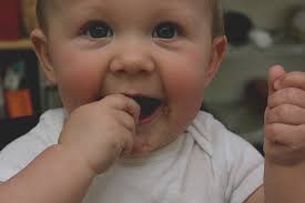 Sweet potato muffins for littles (or bigs)