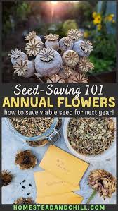 Pin On Stop And Smell The Flowers Flower Gardening