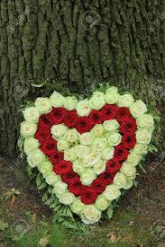 • this particular style of tribute is often sent by children or grandchildren and delivered directly to the funeral home. Red And White Heart Shaped Sympathy Flowers Or Funeral Flowers Near A Tree Stock Photo Picture And Royalty Free Image Image 82104841