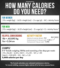 What Is Tdee & How Do You Calculate Yours?