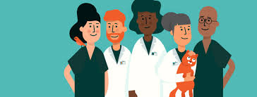 We are an aaha accredited, full service, small animal veterinary hospital in maple grove, mn. Wellhaven Pet Health Home Facebook
