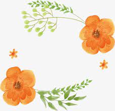 ¿está buscando flor de cerezo degradado plantillas de imágenes de diseño psd o archivos vectoriales? Flor De Acuarela Naranja Vector Png Acuarela De Plantas Flores De Acuarela Png Y Psd Para Descargar Gratis Pngtree Ilustracion Acuarela Fondos Acuarela Naranja Dibujo