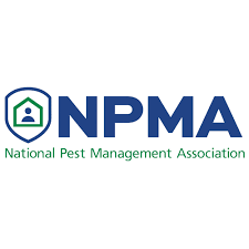 Our specialists will rid your property of rats and mice quickly and efficiently. Pest Control Services Middlesex Bridgewater Township Warren Nj Standard Pest Control