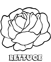 In coloringcrew.com find hundreds of coloring pages of lettuces and online coloring pages for free. Lettuce Printable Coloring Page For Prechooler
