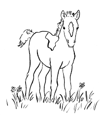 Here is a coloring sheet of shire horse, a breed of draught horse. Foal Coloring Page Art Starts
