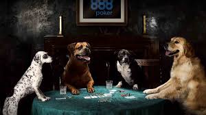 All eighteen paintings in the overall series feature anthropomorphized dogs, but the eleven in which dogs are seated around a card table have become well known in the united states as examples of. Online Poker Company Recreates Dogs Playing Poker Painting Cgtn