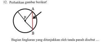 Anak panah menyatakan transisi yang terjadi. Bagian Lingkaran Yang Ditunjukkan Oleh Tanda Panah Disebut Brainly Co Id