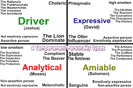 4 Temperament Personality Types Tam Ly Học