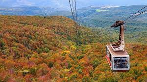 Image result for Hakkoda Walk