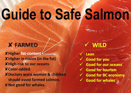 But as the color added labels cropping up in supermarkets suggest, the aquacultured . Salmon Fish Color Added Alert Marina Farook