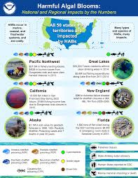 Image result for Amnesic Shellfish Poisoning