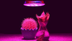 Check spelling or type a new query. Led Grow Lights Market 2019 2026 Size Share Forecast And Trend Analysis By Top Players Philips Osram General Electric Illumitex Lumigrow Ledhydroponics Top Industry Reportz