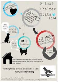 We Ran The Numbers Fibers For Fido Animal Infographic Animal Shelter Dog Adoption