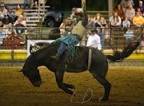 Easterseals Pro Rodeo