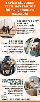Evcil Hayvaniniz Icin Fikirler 2020 Hayvan Evcil Hayvanlar Seyahat