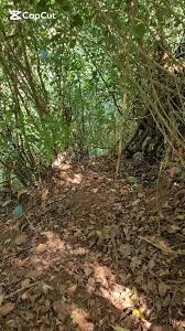 Yo creo que nadie conoce este lugar #reflexiones #trequin