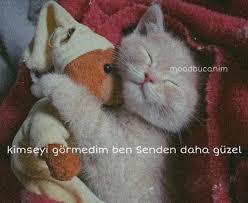 Dilek Ozdemir Adli Kullanicinin Mood Pics Panosundaki Pin 2020 Bff Sozleri Cilgin Arkadaslar Erotizm
