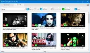 Get music for video download. Portable Any Video Downloader Pro 7 21 15