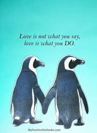Love penguins famous quotes & sayings: Even If We Were Penguins We Would Create This Love Penguin Love Quotes Inspirational Quotes Wifey Quotes
