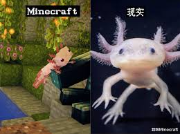 Check spelling or type a new query. My World Talk About Mc Based On The Prototype Of The Realistic Prototype The Fire Cloud Evil Can Be Inews