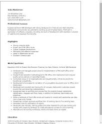 Professional Excel Vba Developer Templates To Showcase Your Talent Myperfectresume