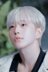 WHO IS YOUR BIAS🤗 ?CAN I KNOW AND WHY ?☺️☺️ #SEVENTEEN17_OFFICIAL  #followforfollowback #follower