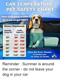 Car Temperature Pet Safety Chart How Long Does It Take For