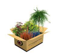 Den blütenreichtum und die vielfalt der arten gibt es sonst nur noch bei den sommerblumen. Versand Zahlungsbedingungen Annas Garten