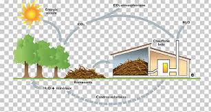 We offer you for free download top of biomass clipart pictures. Biomass Energy Firewood Coal Png Clipart Area Bioenergy Biofuel Biomass Biomass Energy Free Png Download