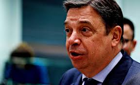 Tarım Bakanı Plea, İspanya Zeytinyağı Sektöründe Kargaşayı Açıkladı