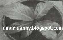 Maybe you would like to learn more about one of these? Contoh Soal Pg Prakarya Dan Kewirausahaan Kelas X Semester 2 Kurikulum 2013 Part 6 Kumpulan Soal Materi Sekolah