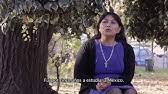 Activista por los derechos educativos y lingüísticos de los pueblos indígenas. Elisa Loncon Antileo Docente E Investigadora Mapuche Youtube