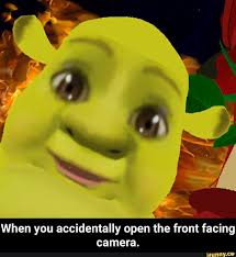 When You Accidentally Open The Front Facing Camera When You Accidentally Open The Front Facing Camera Ifunny Memes Shrek Memes Funny Memes