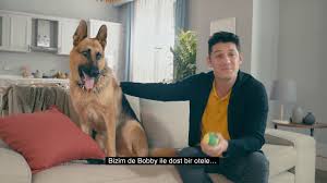 Evcil Hayvan Dostu Oteller Ets De Youtube
