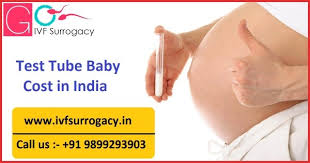 Pertinent Information About Test Tube Baby Cost In India