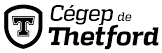 CEGEP DE THETFORD