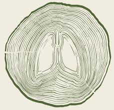 Buy 'save planet earth' by paws for a trip as a sticker. The Lungs Of The Earth