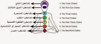 الطاقة الحيوية الشاكرات فى جسم الانسان chakras heart chakra chakra plexus products