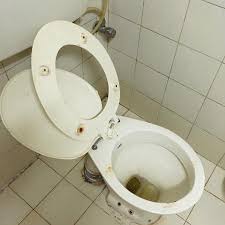 Inspired by the rich history of paramount pictures, our hotel is. Toilet As Found On Arrival Picture Of Hotel Paramount Matheran Tripadvisor