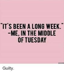 Funny.i bought this last tuesday at home depot, evidently it rolled under the seat and today i found it. Happy Tuesday Morning Tuesday Work Meme Funny Meme Wall