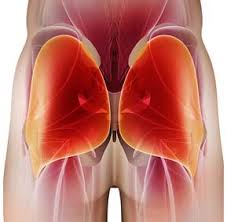 With this program that rick and mike created, i am able to confidently walk into a training session better equipped to take my client to the next level of training. Unlock My Glutes By Brian Klepacki Get Rounder Stronger Firmer Butt