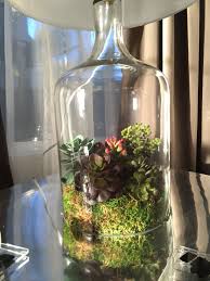 Pin On Terrariums