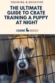 Is crate training good for dogs? Puppies Cry In Their Crates Especially At First Night Home It Can Be A Nightmare Of Howling Whimper Kennel Training A Puppy Puppy Training Training Your Dog